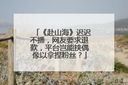 《赴山海》迟迟不播，网友要求退款，平台岂能挟偶像以拿捏粉丝？