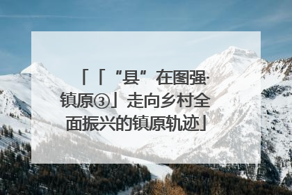 「“县”在图强·镇原③」走向乡村全面振兴的镇原轨迹