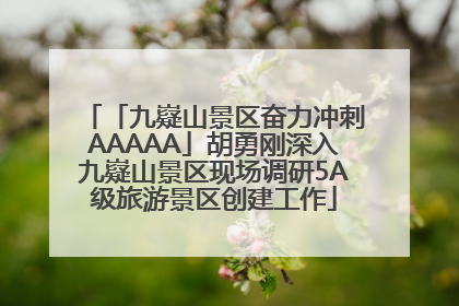 「九嶷山景区奋力冲刺AAAAA」胡勇刚深入九嶷山景区现场调研5A级旅游景区创建工作