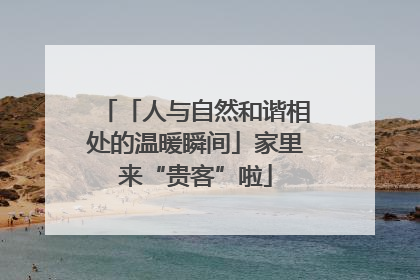 「人与自然和谐相处的温暖瞬间」家里来“贵客”啦