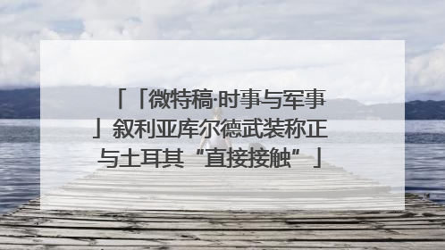 「微特稿·时事与军事」叙利亚库尔德武装称正与土耳其“直接接触”