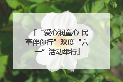 “爱心润童心 民革伴你行”欢度“六一”活动举行