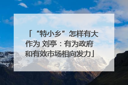 “特小乡”怎样有大作为 刘亭：有为政府和有效市场相向发力