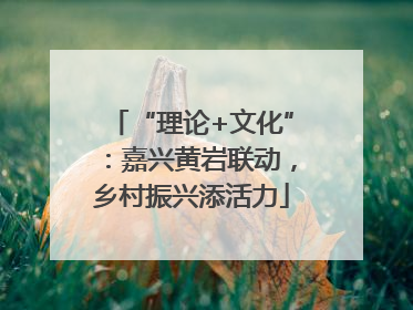“理论+文化”：嘉兴黄岩联动，乡村振兴添活力