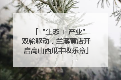 “生态 + 产业”双轮驱动，兰溪黄店开启高山西瓜丰收乐章