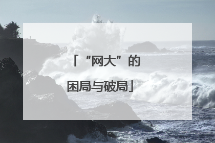“网大”的困局与破局