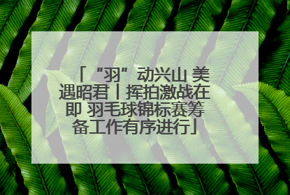 “羽”动兴山 美遇昭君丨挥拍激战在即 羽毛球锦标赛筹备工作有序进行