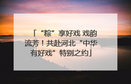 “粽”享好戏 戏韵流芳！共赴河北“中华有好戏”特别之约