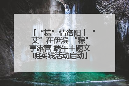 “粽”情洛阳丨“艾”在伊滨 “粽”享露营 端午主题文明实践活动启动