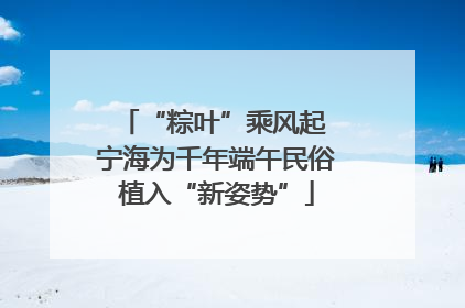 “粽叶”乘风起 宁海为千年端午民俗植入“新姿势”