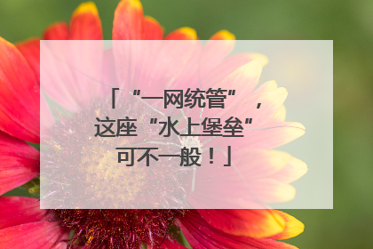 “一网统管”，这座“水上堡垒”可不一般！