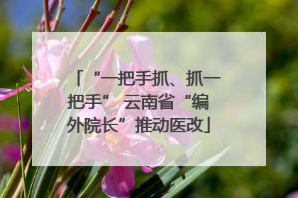 “一把手抓、抓一把手” 云南省“编外院长”推动医改