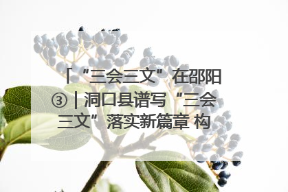 “三会三文”在邵阳③｜洞口县谱写“三会三文”落实新篇章 构建协同联动大格局