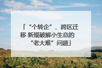 “个转企”、跨区迁移 新规破解小生意的“老大难”问题