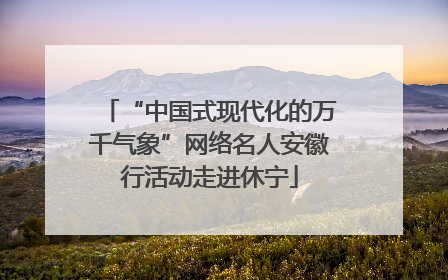 “中国式现代化的万千气象”网络名人安徽行活动走进休宁