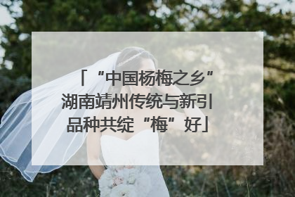 “中国杨梅之乡”湖南靖州传统与新引品种共绽“梅”好