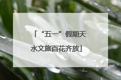 “五一”假期天水文旅百花齐放