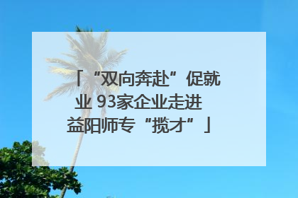 “双向奔赴”促就业 93家企业走进益阳师专“揽才”