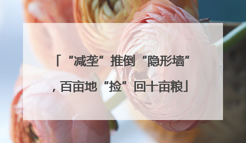 “减垄”推倒“隐形墙”，百亩地“捡”回十亩粮