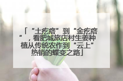 “土疙瘩”到“金疙瘩”，看肥城旅店村生姜种植从传统农作到“云上”热销的蝶变之路