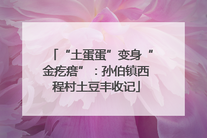 “土蛋蛋”变身“金疙瘩”：孙伯镇西程村土豆丰收记