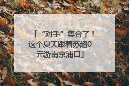 “对手”集合了！这个夏天跟着苏超0元游南京浦口