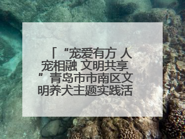 “宠爱有方 人宠相融 文明共享”青岛市市南区文明养犬主题实践活动举办