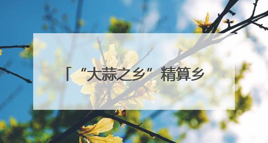 “大蒜之乡”精算乡村振兴幸福账——成武县大田集镇见闻
