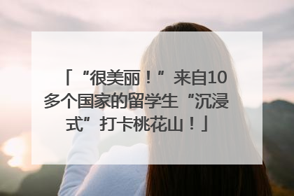 “很美丽！”来自10多个国家的留学生“沉浸式”打卡桃花山！