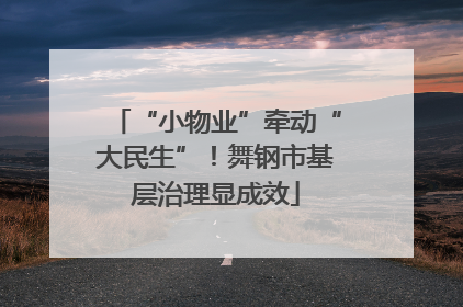 “小物业”牵动“大民生”！舞钢市基层治理显成效