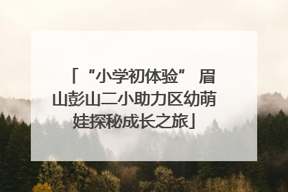 “小学初体验” 眉山彭山二小助力区幼萌娃探秘成长之旅