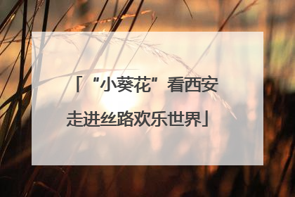 “小葵花”看西安走进丝路欢乐世界