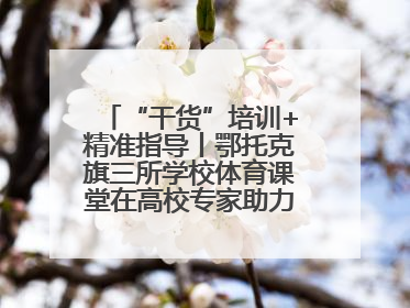 “干货”培训+精准指导丨鄂托克旗三所学校体育课堂在高校专家助力下“提质增效”