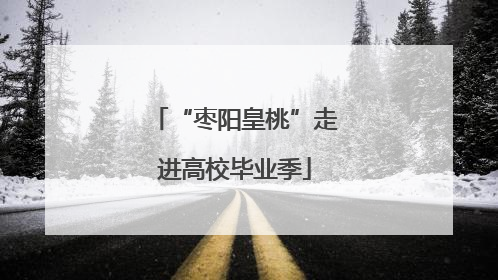 “枣阳皇桃”走进高校毕业季
