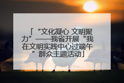 “文化凝心 文明聚力”——我省开展“我在文明实践中心过端午”群众主题活动
