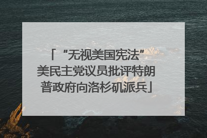 “无视美国宪法” 美民主党议员批评特朗普政府向洛杉矶派兵