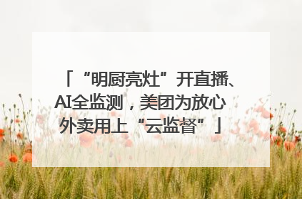 “明厨亮灶”开直播、AI全监测，美团为放心外卖用上“云监督”