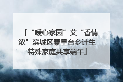 “暖心家园”艾“香情浓”滨城区秦皇台乡计生特殊家庭共享端午