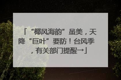 “椰风海韵”虽美，天降“巨叶”要防！台风季，有关部门提醒→