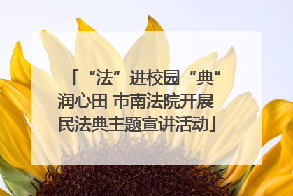 “法”进校园“典”润心田 市南法院开展民法典主题宣讲活动
