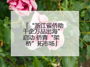 “浙江省侨助千企万品出海”启动 侨青“架桥”拓市场