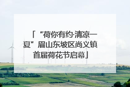“荷你有约·清凉一夏”眉山东坡区尚义镇首届荷花节启幕