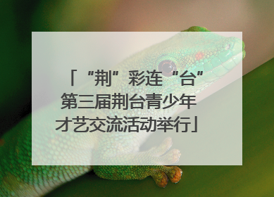 “荆”彩连“台” 第三届荆台青少年才艺交流活动举行