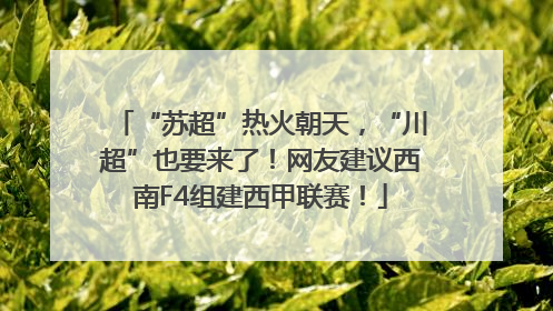 “苏超”热火朝天，“川超”也要来了！网友建议西南F4组建西甲联赛！