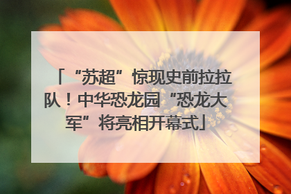 “苏超”惊现史前拉拉队！中华恐龙园“恐龙大军”将亮相开幕式
