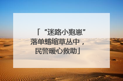 “迷路小狍崽”落单蜷缩草丛中，民警暖心救助