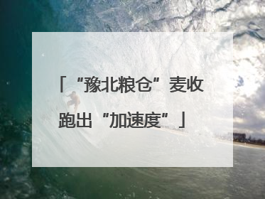 “豫北粮仓”麦收跑出“加速度”