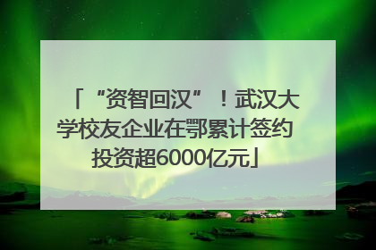 “资智回汉”！武汉大学校友企业在鄂累计签约投资超6000亿元
