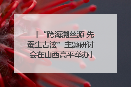 “跨海溯丝源 先蚕生古泫”主题研讨会在山西高平举办