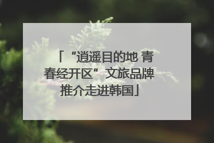 “逍遥目的地 青春经开区”文旅品牌推介走进韩国